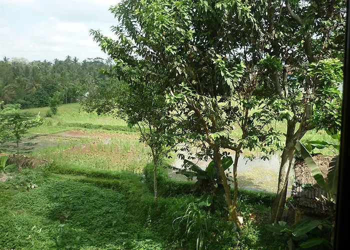 Kudos Guest house